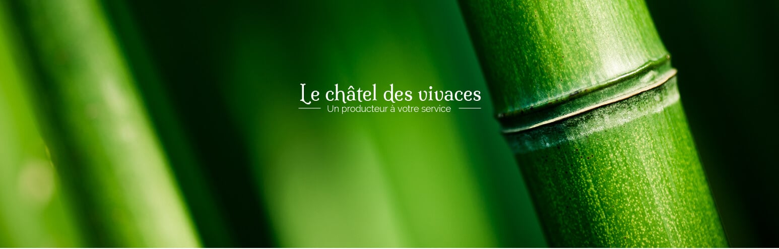 Site e-commerce PrestaShop Le Châtel des Vivaces