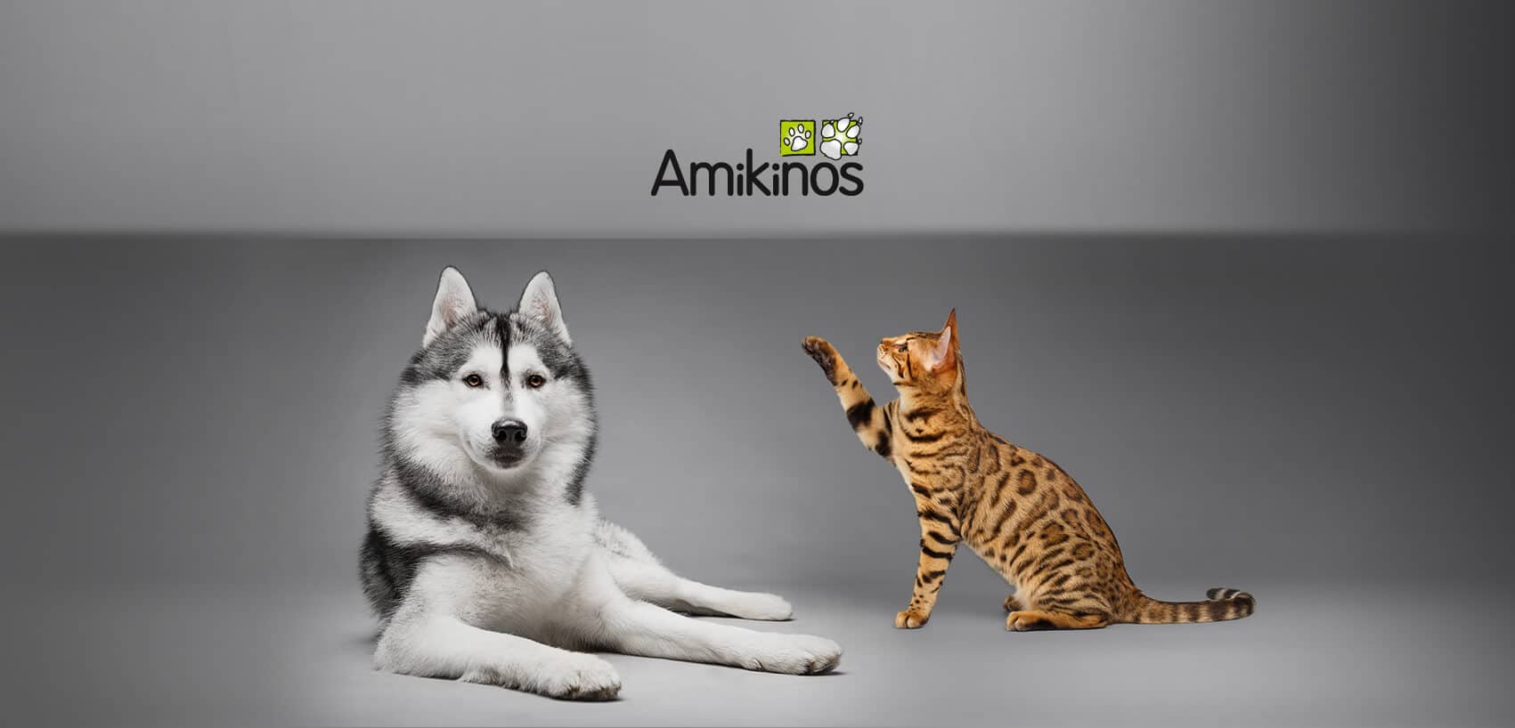 Site e-commerce PrestaShop aliment chien et chat Amikinos