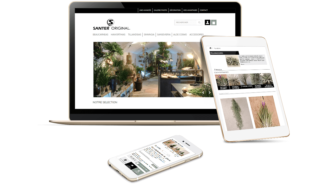 site e-commerce Prestashop de plantes